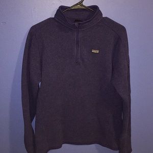 Purple Patagonia pullover